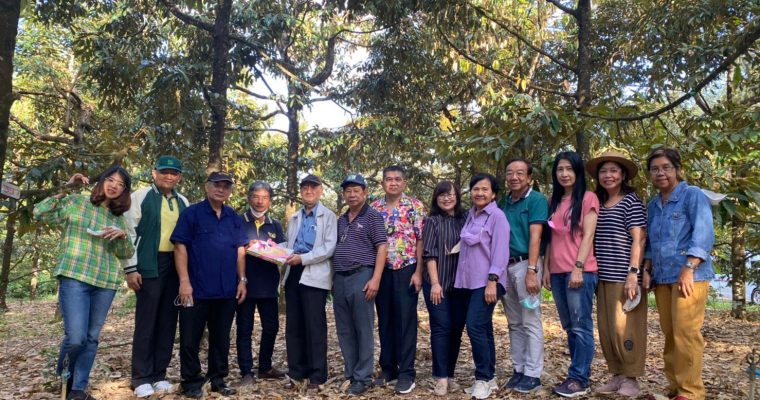 เมื่อวันที่ 13 พฤศจิกายน 2565 ดร. สุนทร พิพิธแสงจันทร์ นายกสมาคมพืชสวนแห่งประเทศไทย นำคณะกรรมการสมาคมฯ เยี่ยมชมสวนทุเรียนของ ดร. ทรงพล สมศรี